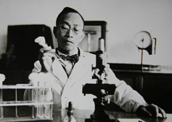 1955年，湯飛凡主持的沙眼研究小組分離出世界上第一株“沙眼衣原體”，命名為TE8，后在國際醫(yī)學界引起巨大反響