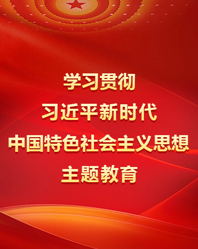 學(xué)習(xí)貫徹習(xí)近平新時(shí)代中國特色社會(huì)主義思想主題教育